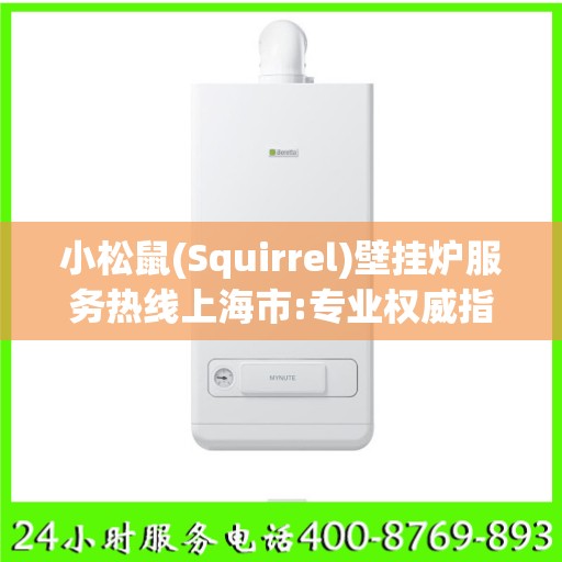 小松鼠(Squirrel)壁挂炉服务热线上海市:专业权威指南